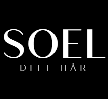 salong_soel